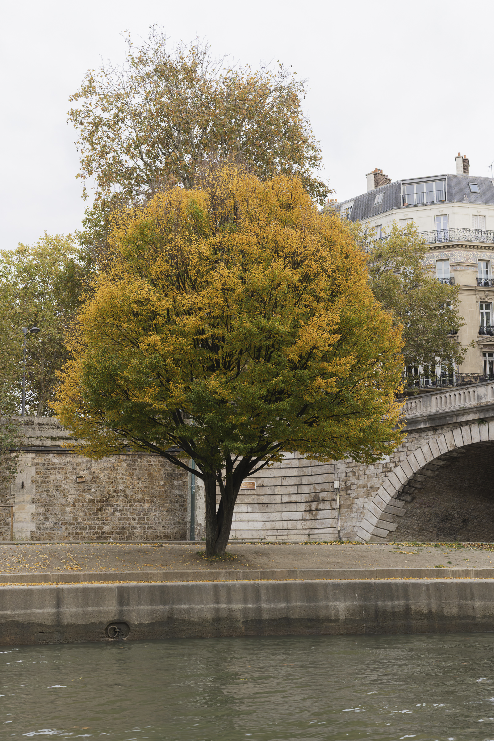 luxury paris wedding boat experience, views from the boat, Boat tour paris, speed boat wedding tour,