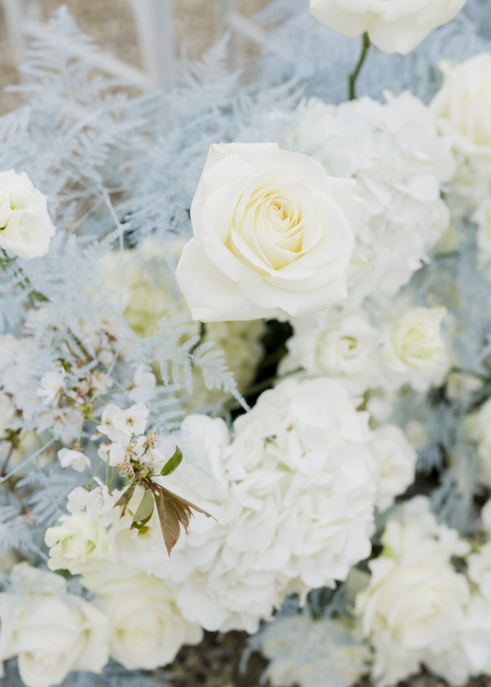 Textural floral and décor details from an elegant château wedding ceremony